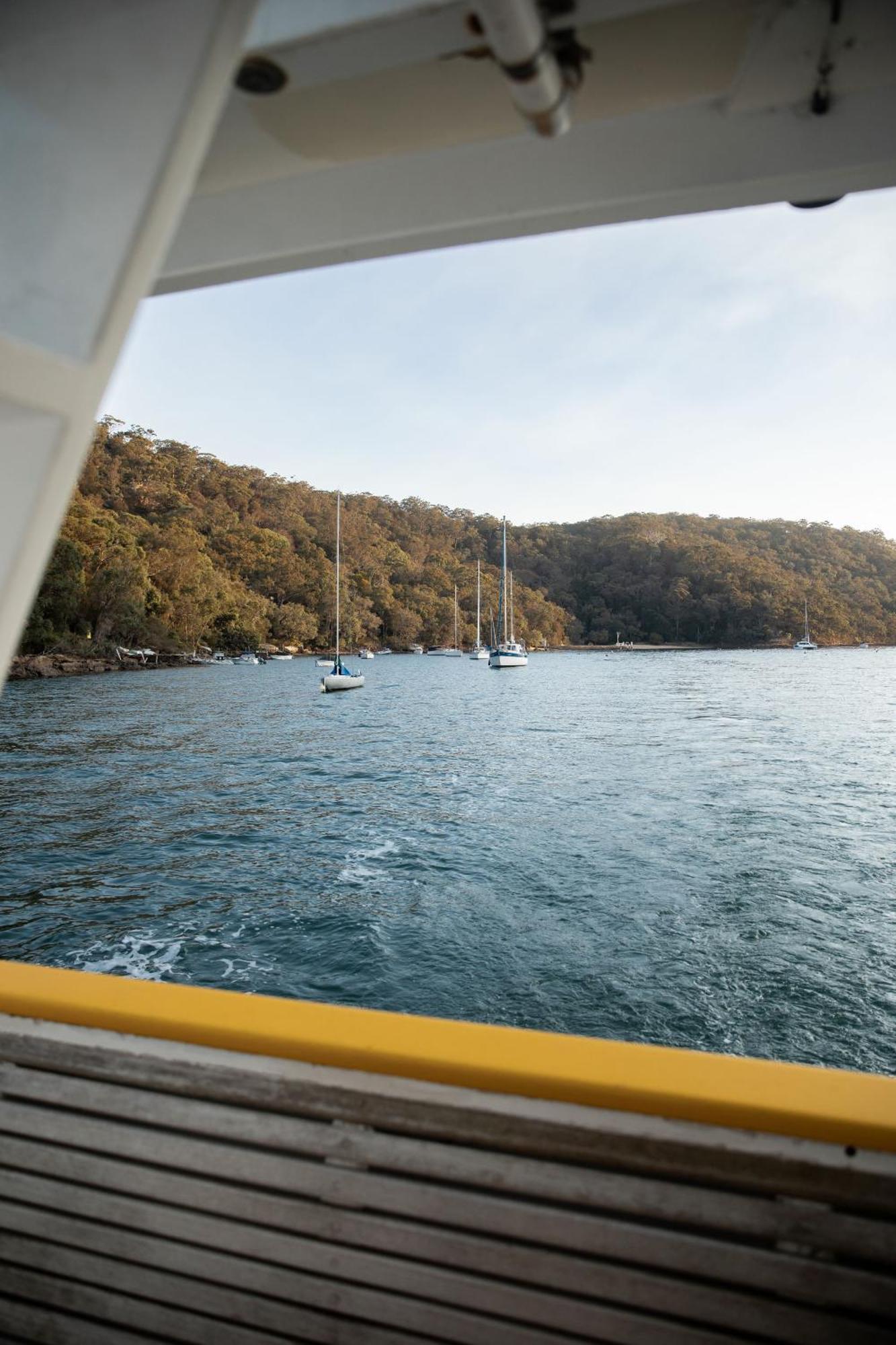 Villa Cape Mackerel Cabin With Magic Palm Beach & Pittwater Views à Great Mackerel Beach Extérieur photo