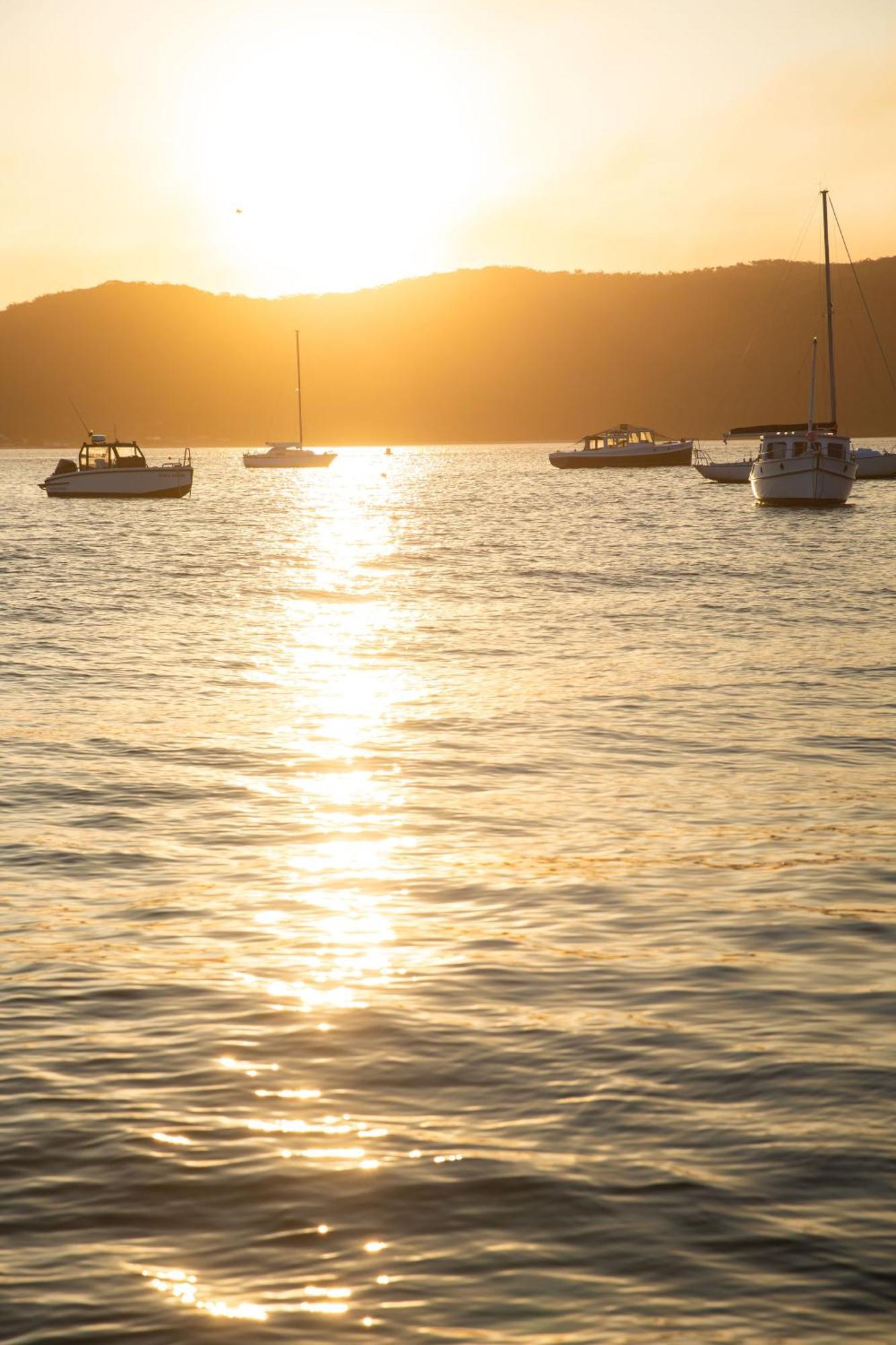 Villa Cape Mackerel Cabin With Magic Palm Beach & Pittwater Views à Great Mackerel Beach Extérieur photo